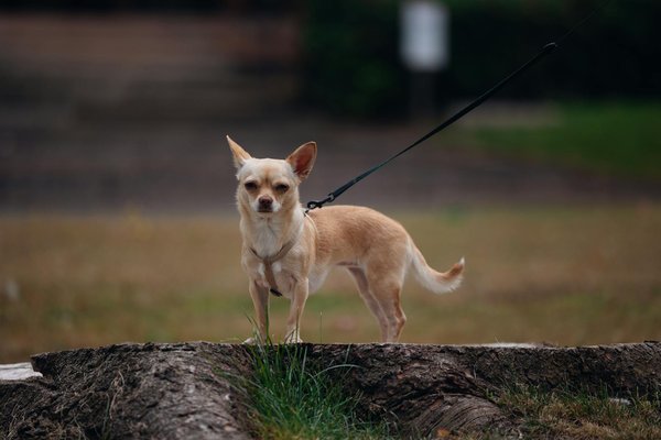 Repérer les signes alarmants de la dépression : guide pratique