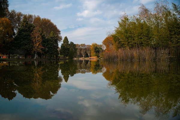Ovomet : le complément naturel pour des articulations en santé