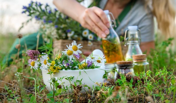 Vente homéopathie : des remèdes naturels à découvrir